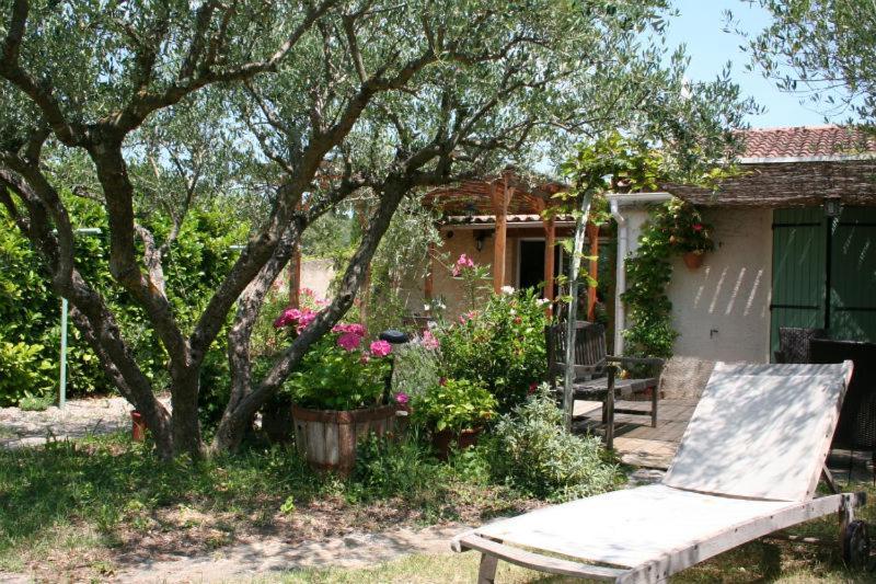 Gite Des Oliviers La Roque-sur-Cèze 外观 照片