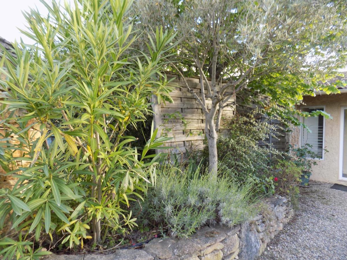Gite Des Oliviers La Roque-sur-Cèze 外观 照片